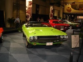 DSC00610 (Custom).JPG
